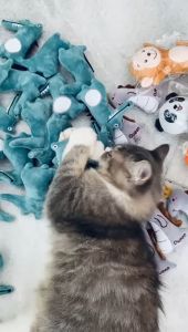 Boneka Mainan Kucing Gigitan Kucing Boneka Catnip Hewan Dan Kartun Boneka Gigit Interaktif