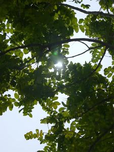 Espresso Machine Mini Portable Coffee Machine 15bar High Pressure Extraction Rechargeable Travel Coffee Machine