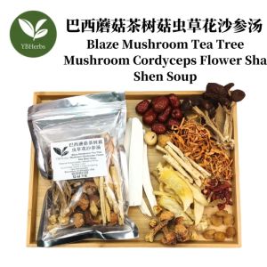 巴西蘑菇茶树菇虫草花沙参汤 Blaze Mushroom Tea Tree Mushroom Cordyceps Flower Soup 提升免疫力 益肾 药材汤 4-5 person Chinese Herbal Soup