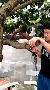 Máy Cưa Xích MINI Dùng Chân Pin MAKITA Phổ thông