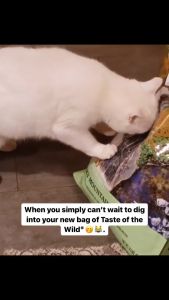 Taste of the Wild 7KG Rocky Mountain Dry Cat Food