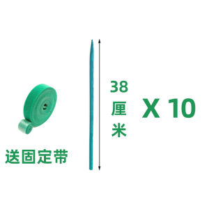 Indoor Flower Support Rods Fixed Tied Vines Plant Decor Green Ivy Hydrangea Rose Bamboo Single Pole Garden Artistic Wood