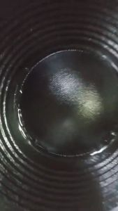 2021 Live Grandmaster GM-12-900SUB 12 inch 900W 75mm V.Coil Double Magnet Grandmaster Gm 12 900Sub Grandmaster Gm12 Bmw 1200 Gs For Sale Saab 900 For Sale - Lazada