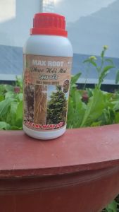[Freeship Max] Phân bón phục hồi mai sau Tết MAX ROOT chai 500 ml giúp mai vàng ra rễ dưỡng lá nhú đọt tái sinh sau tết_THIEN THINH SHOP