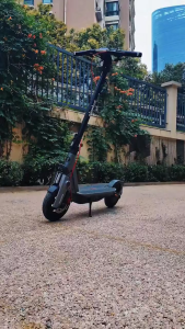 Xe Điện Scooter Segway Ninebot F3