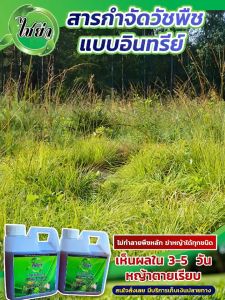 คุณสมบัติของฆ่าหญ้าแบบอินทรีย์ ไม่มีสารเคมี 1 แถม 1 ส่งฟรี