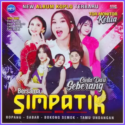 Kaset MP3 Audio Musik 110 Lagu Dangdut Koplo SIMPATIK Album Pilihan Terviral 2025