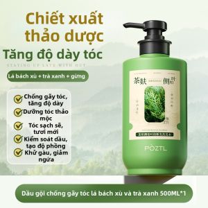 Pozitilan | Dầu Gội Ngừng Rụng Tóc Kiểm Soát Dầu Tăng Khối Lượng Chống Vảy Nến Ngăn Ngứa Từ Gừng