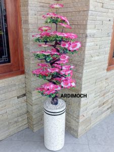 Bunga davadolid untuk sudut ruangan fullset