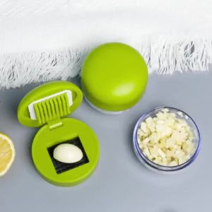 1pc Multifunctional Garlic Press Manual Mincer， ABS and Stainless Steel Garlic Slicer Handheld Ginger Masher with Storage Case
