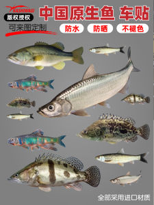 High Definition Exclusive Copyright Fishing Lure Car Sticker Waterproof Sunscreen Boat Bait Box Decal Outdoor Camping Travel Gear
