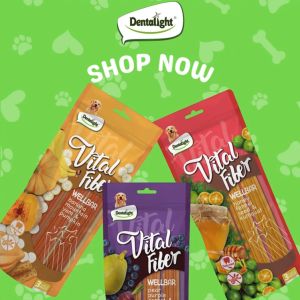 Dentalight Vital Fiber Wellbar Dog Treats 250g (Banana Pear Honey ) Dog Snack 狗零食