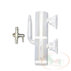 Lồng ấp trứng tép thủy tinh DIY ấp nở trứng cá tép nhỏ