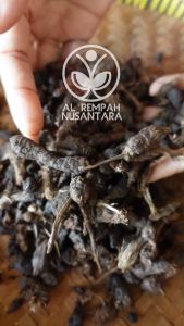 Umbi Suket Teki Kering: Makanan Sehat & Nutrisi