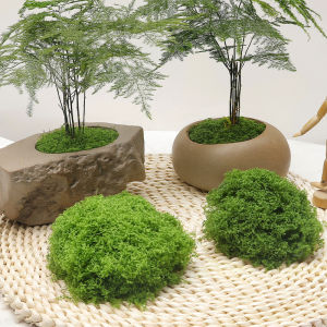 Lawn Ornament Fake Moss Lawn Landscape Props Green Plant Micro Plant Artificial Green Moss Lawn Bonsai Pathway Decorations