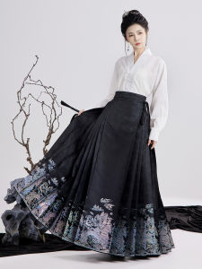 Preface Painting Original Womens Han Chinese Clothing [Wangshan Pavilion] Luo Qi Woven Gold Horse-Face Skirt New Chinese Daily 2024 Spring and Summer New Arrival