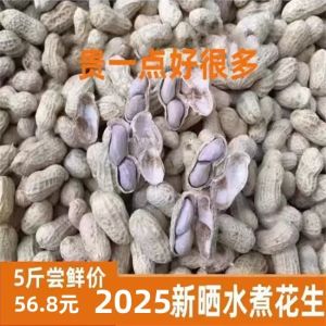 New 2025 Sun-Dried Farmhouse Boiled Peanuts Salted Dry 5 Cans Snacks/Nuts/Specialties>Walnuts/Nuts/Cooked Snacks>Peanuts