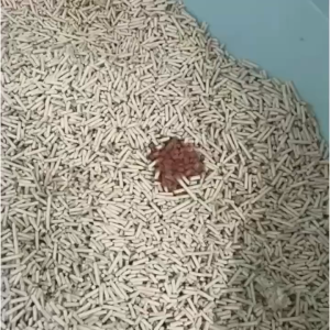 Cystaid Plus Urinary Health Support for Cats - 30 Capsules for Hematuria & Urinary Tract Infection