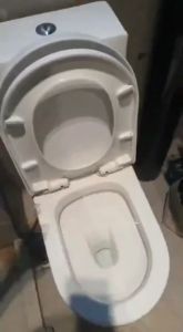 ARINO Caprio One Piece Geberit Flushing System Toilet Bowl