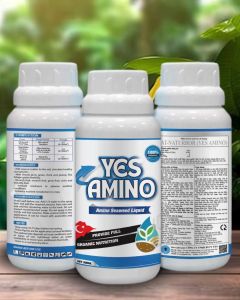 Amino Phân bón Sinh học
