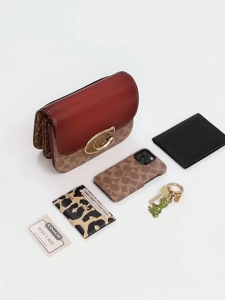 bag for women idol series crossbody bag new style accordion saddle bag chain bag CM551 Size: 21*16*8cm