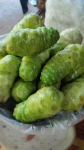 ลูกยอสด 1000g. ปลูกแบบเเกษรอินทรีย์ ปลอดสารพิษ คัดส่งให้ทุกออเดอร์