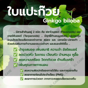 Ginkgo Biloba Extract ใบแปะก๊วย สกัด จิงโกะ สูตรเข้มข้น อาหารเสริม 30 แคปซูล ของแท้100%