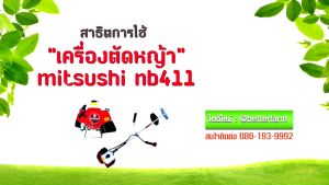 Mitsushi เครื่องตัดหญ้า 2จังหวะ NB411 ตัวใหญ่ 40.2 ซี.ซี