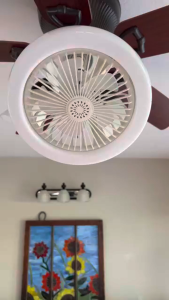 26CM ceiling fan white ABS five-blade fan acrylic lampshade silent DC motor 3-speed reversible remote control with timing function suitable for living rooms dining rooms bedrooms homes and other places.