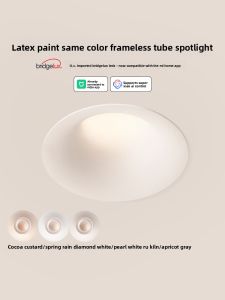 FELAR | Glowless Flush Mount Downlight 75mm