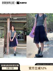 Ruffled Corded Multilayer Chiffon Skirt