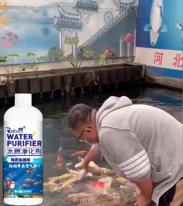 จุลินทรีย์ แบคทีเรีย บ่อปลา ตู้ปลา น้ำใส ลดตะไคร่ ย่อยของเสีย ลดกลิ่น Living Inside 50ปีไม่ต้องเปลี่ยนน้ำ จุลินทรีย์ ปรับน้ําใส ล้างตู้ปลา จุลินทรีย์ ไรแดงน้ําใส บ่อปลา ขจัดสารพิษเพาะเชื้อรวดเร็ว