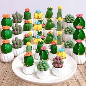 Mini Simulation Succulent Cactus Plant Decor Transparent Fleshy Car Computer Landscape Ornaments Crafts Home Office Desktop Decoration