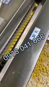 Máy vo viên trân châu khuôn làm kẹo nhãn bằng inox hoàn toàn