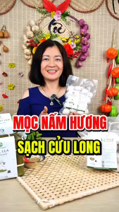 Mọc Nấm Hương Hữu Cơ Mọc Viên Nấm Hương Cửu Long 1kg Sạch Không Phụ Gia Nhân Tạo Đat ISO 22000