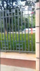 YYBAIO | Anti-Climb Welded Guardrail for Construction Schools Factories Hotels Airports and Railways