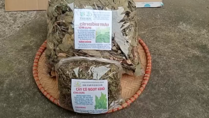 cây muồng trâu sấy khô gói 1kg TẶNG 100G CỎ NGỌT