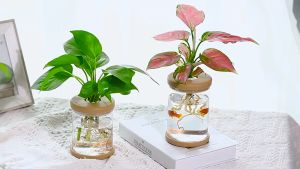 Self Watering Water Plant Pot Plastic Transparent Hydroponic Small Pots for Indoor Water Garden Plants Lazy Flower Pot Automatic Water Absorbing Flowerpot Soilless Planting Gardening Planter Home Decor