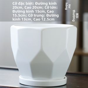 Chậu Hoa Sáng Tạo Ceramic Lớn có Đế