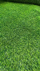 (แบบแบ่งตัด) หญ้าเทียม 2 cm.SD หนา ทน ราคาถูก เคลือบกัน UV ใช้งานกลางแจ้ง ตกแต่งร้านอาหาร ขนาด 12-20 ตรม.