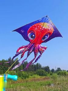 Professional kites flying jellyfish kites for adults kites outdoor games windsurfing colorful kites acquilone beach kite fabric