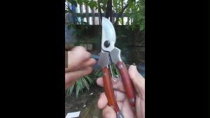 Kéo cắt cành cộng lực SK5 nhập khẩu Japan bằng thép trắng đúc nguyên khối không gỉ