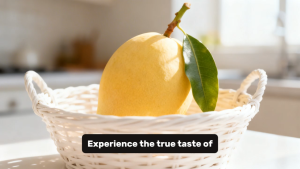 Susu Mango / Mango 5Kg ( 9 - 11 Pcs )