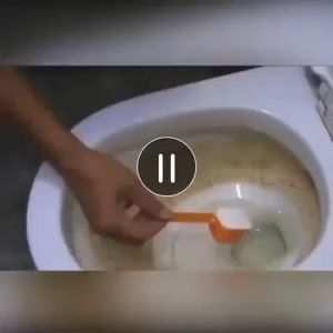 Pembersih Pipa Tersumbat WILD TORNADO: Solusi Anti Mampet Wastafel