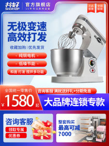 Quiet Dual-speed Dual-action Commercial Dough Mixer