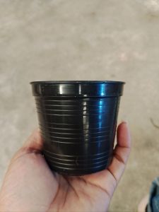 กระถางพลาสติกขนาด3นิ้ว 50ใบ