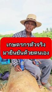 4Tree Booster โฟร์ทรี 1 ซอง+บูสเตอร์ ไคโตซาน 1 ขวด นวัตกรรมจากธรรมชาติ พืชโตไว เพิ่มผลผลิตใช้ได้กับทุกชนิดพืช ของแท้100%