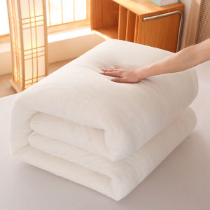 Pure Cotton Quilt Core Encrypted Network Full Cotton Pad Rigid Inner Home Dormitory Spring Autumn Quilt Thermal Control Handmade