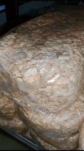 SUSUH SANGKAR CEMARA SERAT DAUN CEMARA TEMPAT TELUR BURUNG