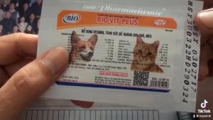 Vitamin Tổng Hợp Tăng Cường Hệ Miễn Dịch Cho Chó Mèo BioVit - Men Vi Sinh Tăng Đề Kháng Dành Cho Thú Cưng